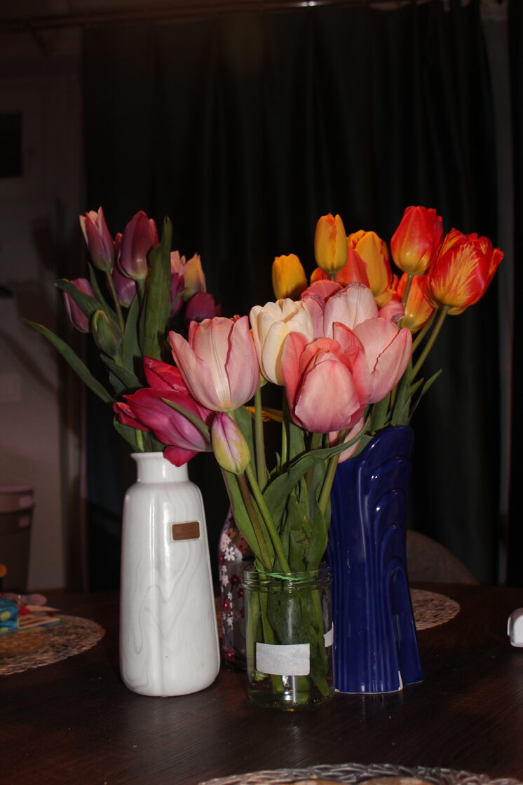 IMG_2464.JPG